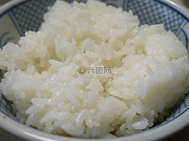 美元,水稻,食品