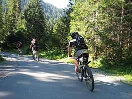 騎自行車,自行車,transalp