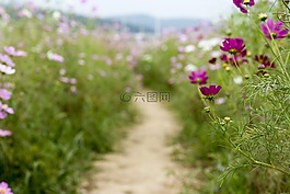 宇宙,吉,美麗