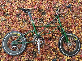 自行車,小汽車,落葉