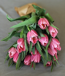 郁金香,花束,鮮花