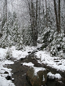 雪,溪,冬天