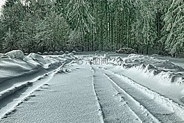 雪,冬天,性质