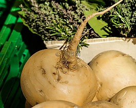 蔬菜,蕪菁,湯