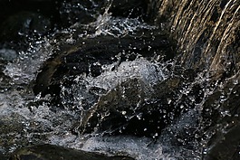 巖,河,流