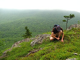 徒步旅行,山,自然