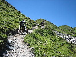 自行车,transalp,体育