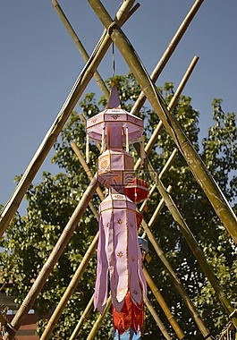泰國(guó),臉,爬行