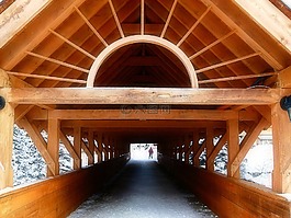 木,行人天橋,旅行