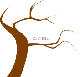 树,棕色,枝杈