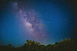 樹,天空,藍色