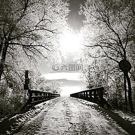 桥,太阳,冬天