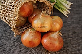 洋蔥,波,希望