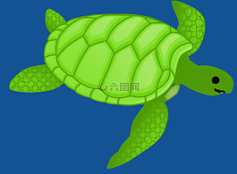 龜,綠色,游泳