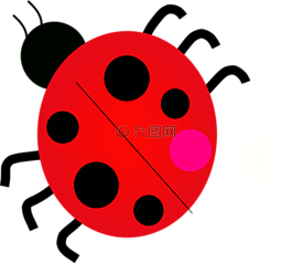 搖滾,瓢蟲,甲蟲