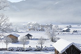 雪,冬天,冷