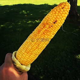 夏季,錐,小吃