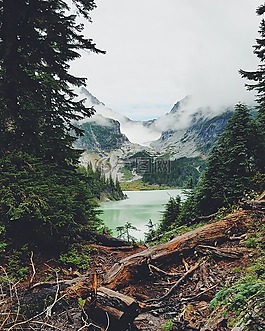 山,樹,湖