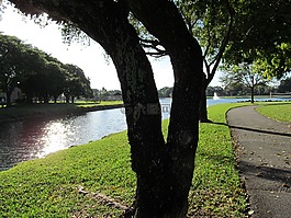 河,树,景区