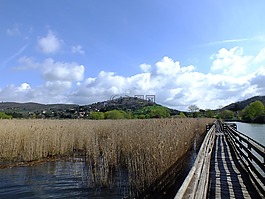 網(wǎng)站,性質(zhì),水