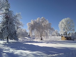 冬天,風景,景觀
