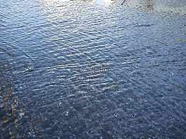 雨水,瀝青,波