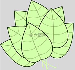 葉,日本藝術,生態(tài)