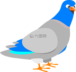 鴿子,鳥(niǎo),動(dòng)物