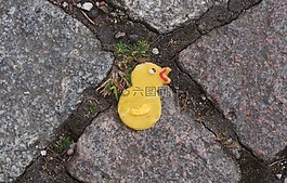復(fù)活節(jié),小雞,甜美