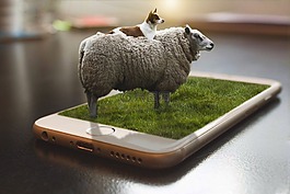 操縱,3d,的photoshop