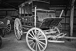 教練,車皮,釀酒