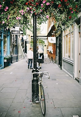 自行車(chē),極點(diǎn),鮮花