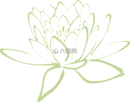 蓮花,花,水百合