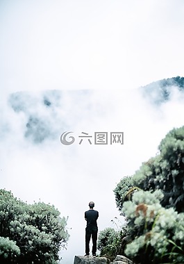 山,鮮花,植物