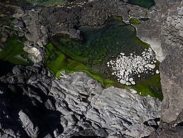 海,巖石海岸,綠水