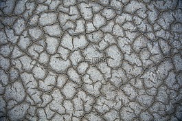土地,土壤,干