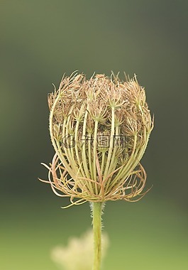 性質(zhì),廠,夏季