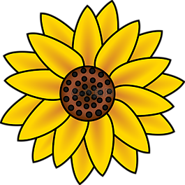 向日葵,開花,花瓣