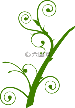 植物,葉子,分支機(jī)構(gòu)