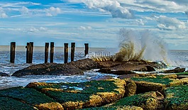 海景,海岸,岸