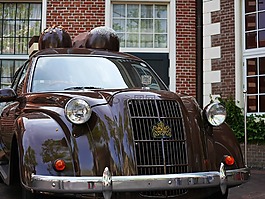 經(jīng)典的汽車,汽車,年份