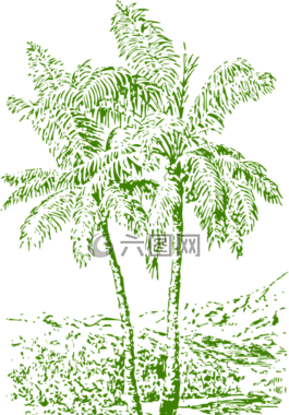 棕櫚樹,樹,熱帶地區(qū)