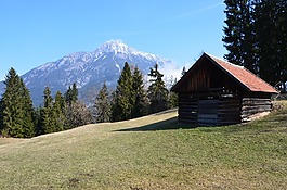 假期,高山,奧地利