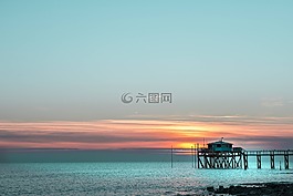 海,鰈魚,凈額