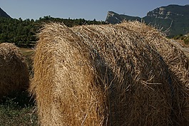 稻草,牧草,球