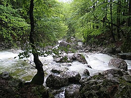 白水,河,過(guò)獨(dú)身生活