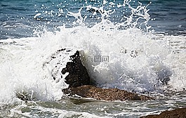 海洋,巖,波
