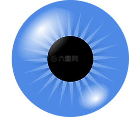 眼球,眼,鳶尾花