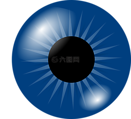 眼球,眼,鳶尾花