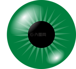 眼球,眼,鳶尾花